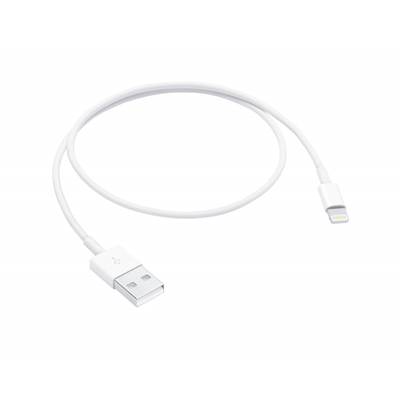 Câble USB vers Lightning 1m APPLE