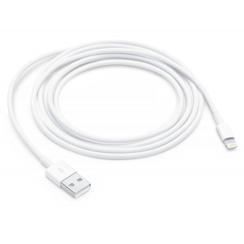 Câble USB vers Lightning 2m APPLE